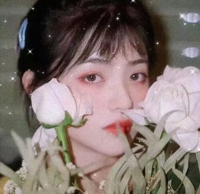 杨梅成熟的季节